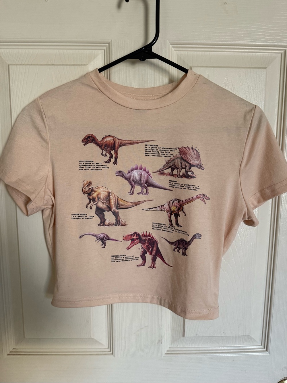 SHEIN Pale Pink Dinosaur Graphic Crop Tee